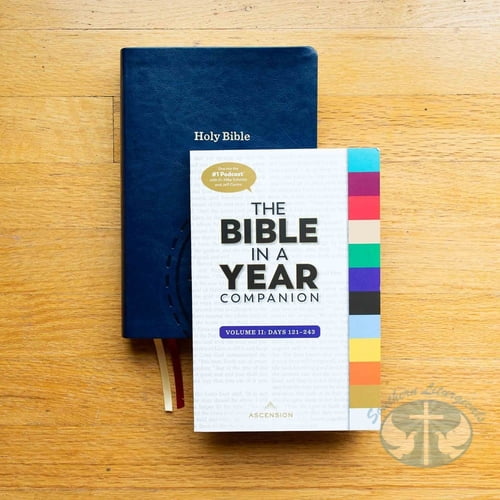 The Bible in a Year Companion, Vol 2: Days 121-243