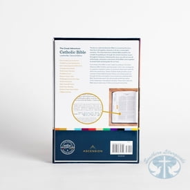 The Great Adventure Catholic Bible, 2nd Edition