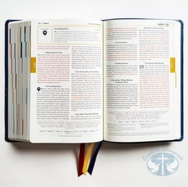 The Great Adventure Catholic Bible, 2nd Edition