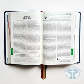 The Great Adventure Catholic Bible, 2nd Edition