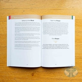 The Bible in a Year Companion, Vol 1: Days 1-120
