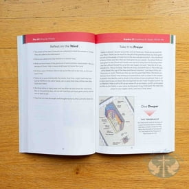 The Bible in a Year Companion, Vol 1: Days 1-120