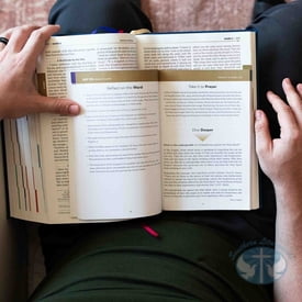 The Bible in a Year Companion, Vol 2: Days 121-243