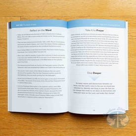 The Bible in a Year Companion, Vol 2: Days 121-243